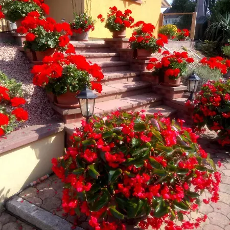 A L Ombre Des Catalpas Guest house Bischwihr