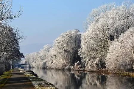 A L Ombre Des Catalpas Guest house Bischwihr